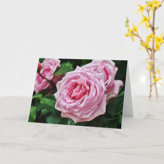 Pink Heirloom Rose Scripte Karte 2 Peter 1:2 (Gelbe Blume)