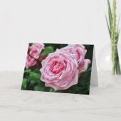 Pink Heirloom Rose Scripte Karte 2 Peter 1:2 (Vorderseite)