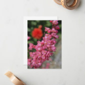 Pink Heuchera Mitteilungskarte (Vorderseite/Rückseite Beispiel)