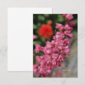 Pink Heuchera Mitteilungskarte (Vorne/Hinten)