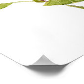 pink hibiscus moscheutos, swamp rose mallow poster (Ecke)