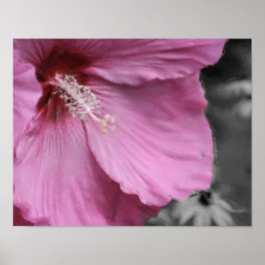 Pink Hibiscus Photo Painting Art Poster (Vorne)