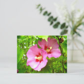 Pink Hibiscus postcard Postkarte (Stehend Vorderseite)