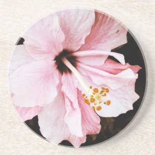 Pink Hibiscus Sandstein Untersetzer
