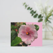 Pink Hibisken DIY Postkarte (Stehend Vorderseite)