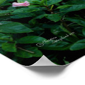 Pink Hibiskus Blume Tree Poster (Ecke)