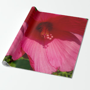 Pink Hibiskus Foto Wrapping Paper Geschenkpapier