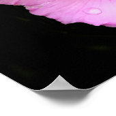 Pink Hibiskus Poster (Ecke)