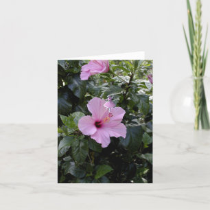 Pink Hibiskus Shadow Fairy Feiertagskarte