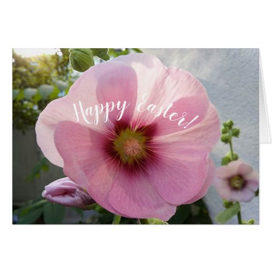Pink Hollyhock Blume Ostercard (Vorderseite (Horizontal))
