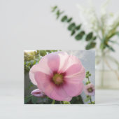 Pink Hollyhock Blume Postcard Postkarte (Stehend Vorderseite)