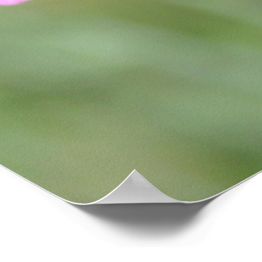 Pink Hollyhock Lob Poster (Ecke)