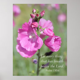 Pink Hollyhock Lob Poster