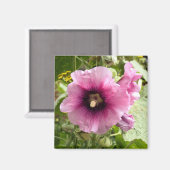 PINK HOLLYHOCK MAGNET (Vorderseite/Rückseite)