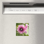 PINK HOLLYHOCK MAGNET (In Situ (Geschirrspüler))