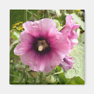 PINK HOLLYHOCK MAGNET