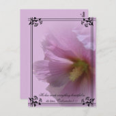 Pink Hollyhock Postkarte (Vorne/Hinten)
