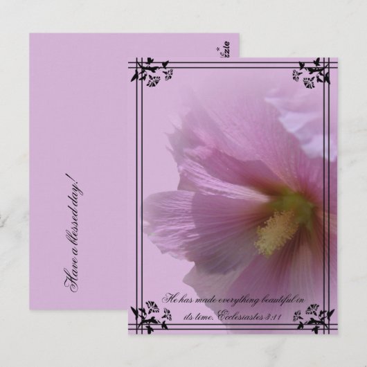 Pink Hollyhock Postkarte (Vorne/Hinten)