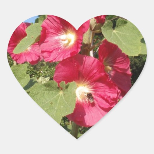 Pink Hollyhocks Herz-Aufkleber (Vorderseite)