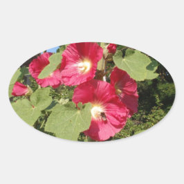 Pink Hollyhocks Ovaler Aufkleber