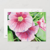 Pink Hollyhocks Postcard Postkarte (Vorne/Hinten)