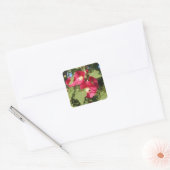 Pink Hollyhocks Quadratischer Aufkleber (Umschlag)