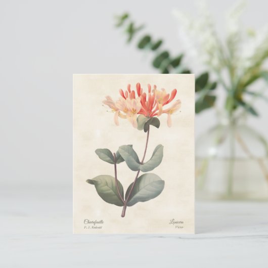 Pink Honeysuckle Postkarte (Stehend Vorderseite)