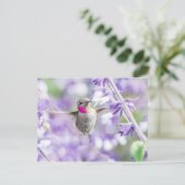 Pink Hummingbird Lila fliegen Postkarte (Stehend Vorderseite)