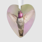 Pink Hummingbird Wings Wide Open, Blick auf Sie Ornament (Vorderseite)