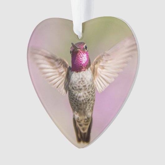 Pink Hummingbird Wings Wide Open, Blick auf Sie Ornament (Vorderseite)
