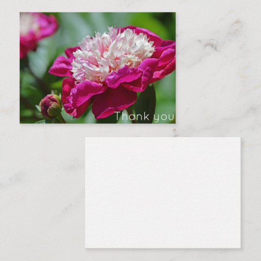 Pink Hütte Peony Blume Danke Mitteilungskarte (Vorne/Hinten)