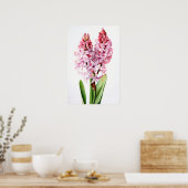 Pink Hyacinth Blume Art Print Poster (Küche)