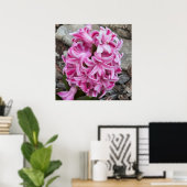 Pink Hyacinth Blume Foto Poster (Heimbüro)