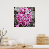 Pink Hyacinth Blume Foto Poster (Küche)