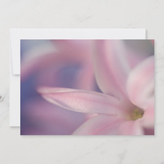 Pink Hyacinth Blume Osterfest Einladung (Rückseite)