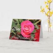 PINK HYBRID ROSE GLÜCKLICH VALENTINES DAY MAMA KARTE (Gelbe Blume)