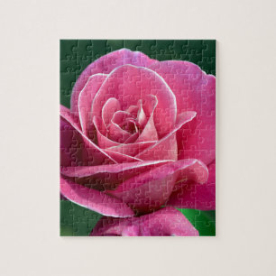 Pink Hybrid Tee Rose Puzzle