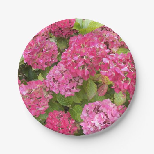 Pink Hydrangea Bloms Bloral Pappteller (Vorderseite)
