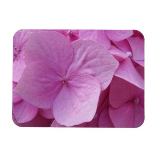 Pink Hydrangea Blume 3"x4" Magnet