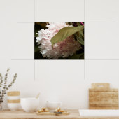 Pink Hydrangea Blume Fotografie Poster (Küche)