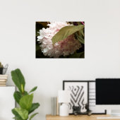Pink Hydrangea Blume Fotografie Poster (Heimbüro)