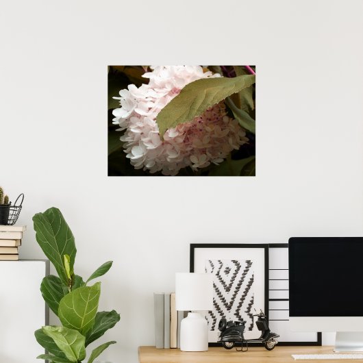 Pink Hydrangea Blume Fotografie Poster (Heimbüro)
