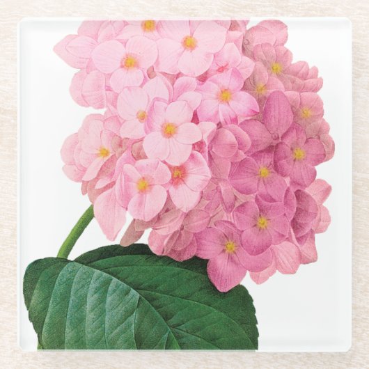 Pink Hydrangea Blume Glass Untersetzer (Vorderseite)