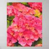 Pink Hydrangea Blume Wasserfarben Kunst Poster (Vorne)