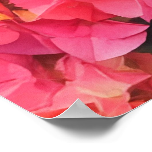 Pink Hydrangea Blume Wasserfarben Kunst Poster (Ecke)