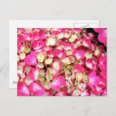 Pink Hydrangea Bouquet Postkarte (Vorne/Hinten)