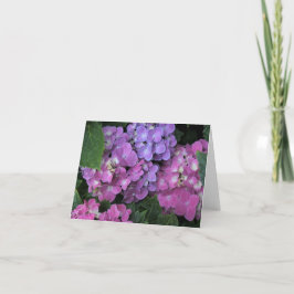 Pink Hydrangea Dankeskarte