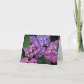 Pink Hydrangea Dankeskarte (Vorderseite)