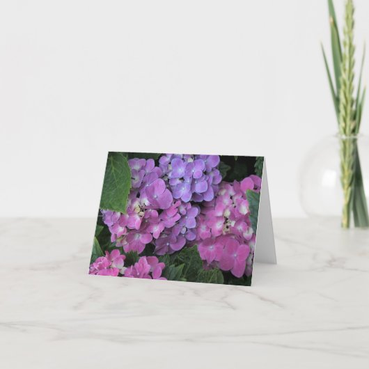 Pink Hydrangea Dankeskarte (Vorderseite)