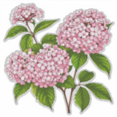 Pink Hydrangea Flowers in Full Bloom Aufkleber (Vorderseite)